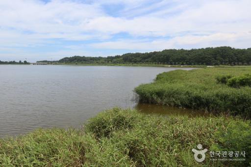 주문진해변