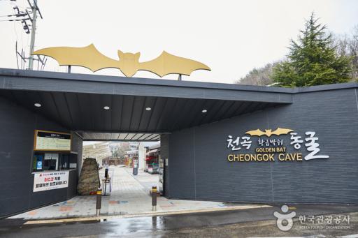 8. 천곡황금박쥐동굴