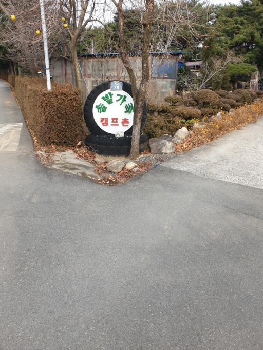 솔밭가족캠프촌