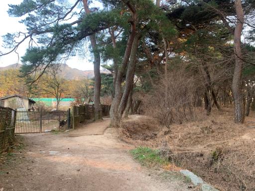 51. 경주국립공원 남산지구