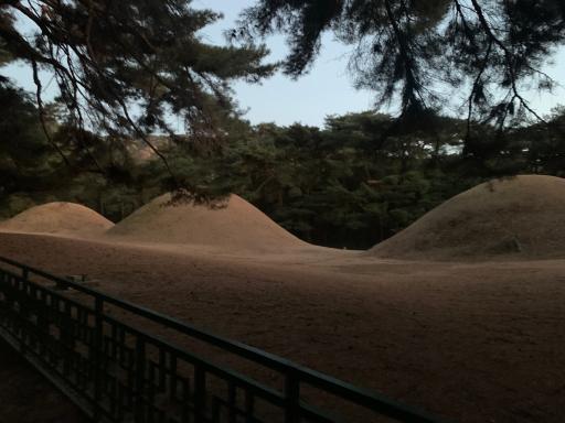40. 경주배동삼릉