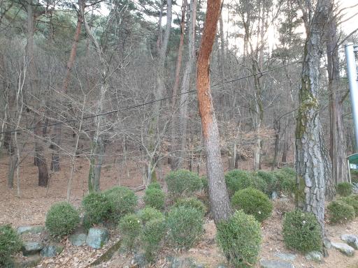 11. 금오산도립공원 채미정코스