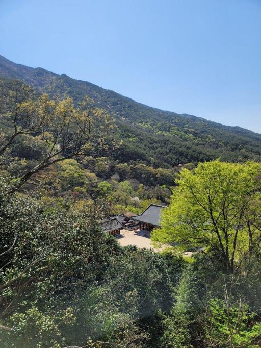 28. 화엄사
