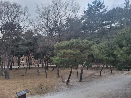 22. 선릉