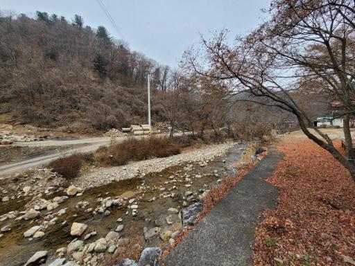 안골계곡