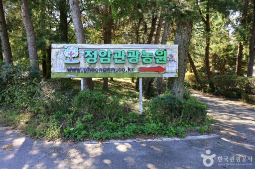 10. 청암관광농원