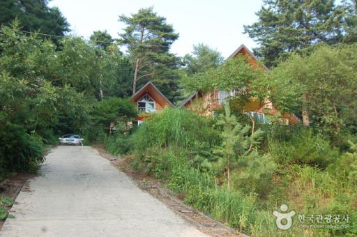 235. 주천강자연휴양림