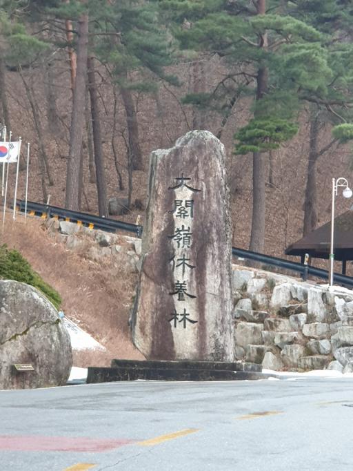 45. 대관령자연휴양림