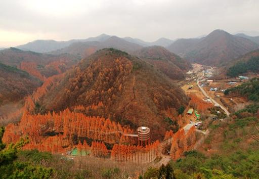 2. 장태산자연휴양림