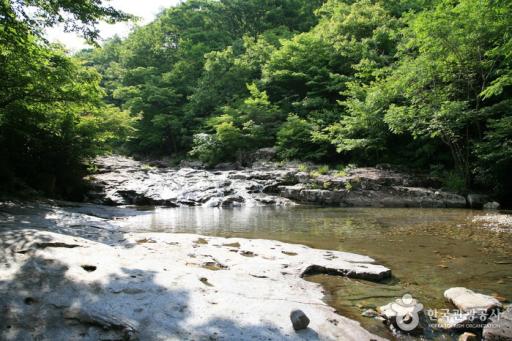 154. 운장산자연휴양림