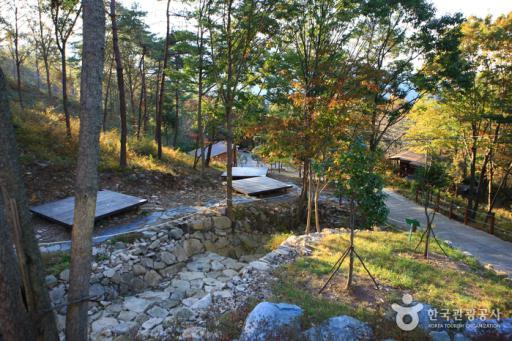 164. 천관산자연휴양림