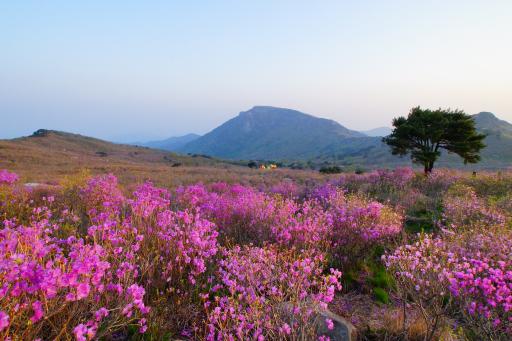 60. 비슬산자연휴양림