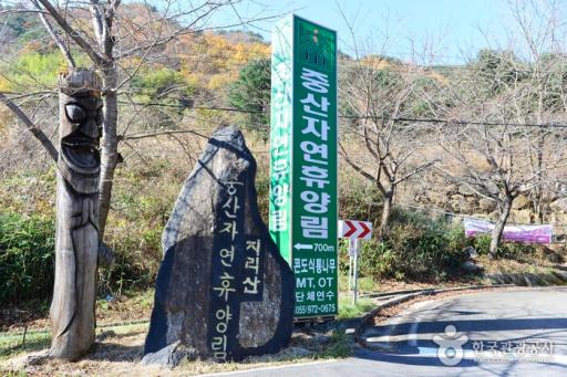 234. 중산자연휴양림