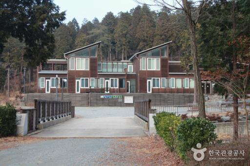 41. 남해편백자연휴양림