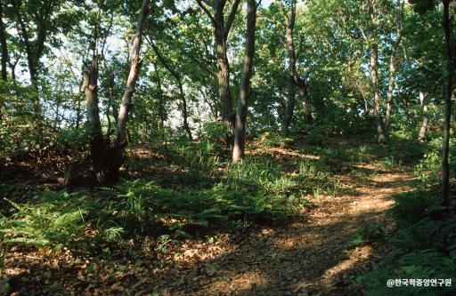 65. 서운산성