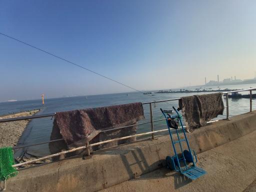 3. 한진포구