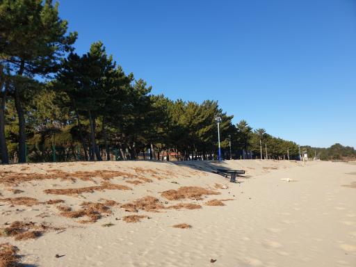 잔교해변