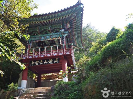162. 장안사