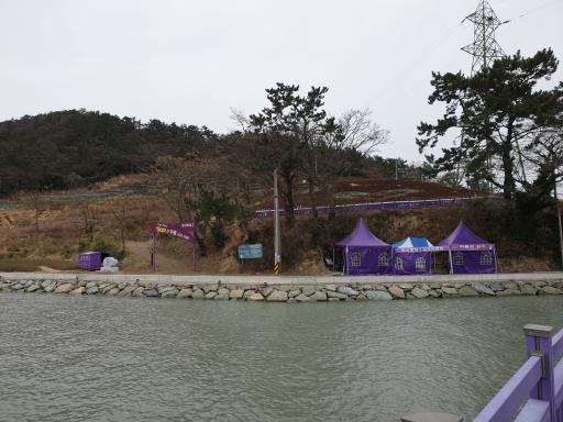 박지도