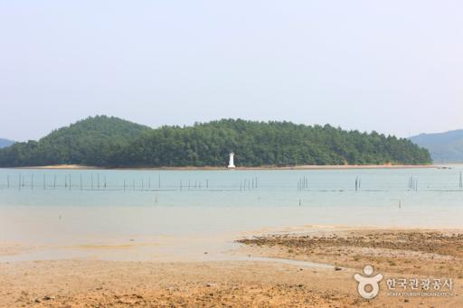 166. 팔금도