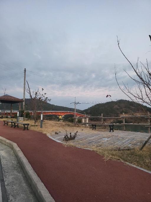 231. 사양도