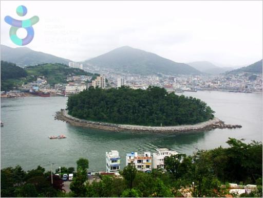 249. 장군도