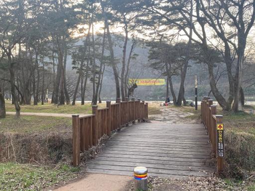 33. 드들강솔밭유원지