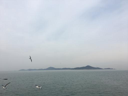 장봉도