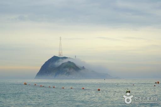 242. 대둔도