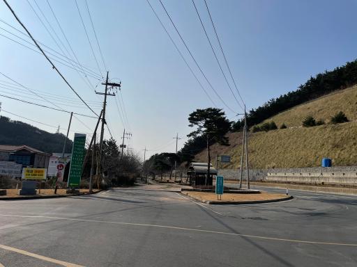 신진도