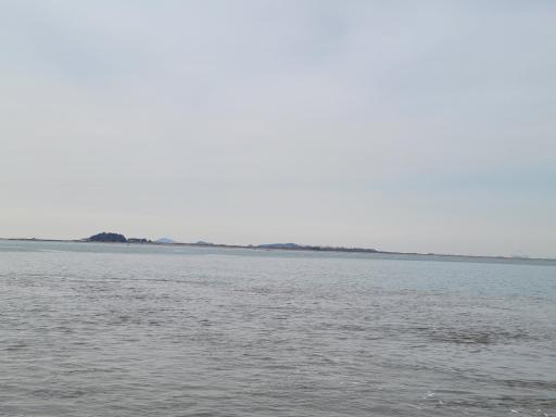 204. 유부도