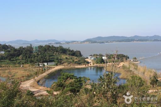 246. 율도