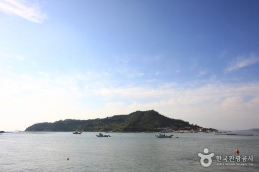 258. 죽도