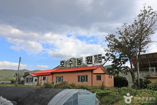 호수농원
