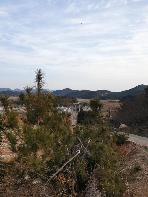 고금도