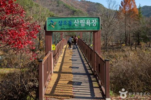 14. 상소동산림욕장