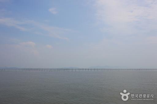 압해도