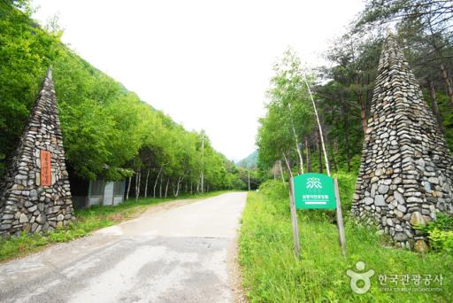 삼봉자연휴양림
