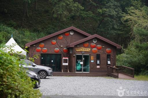132. 운문산자연휴양림