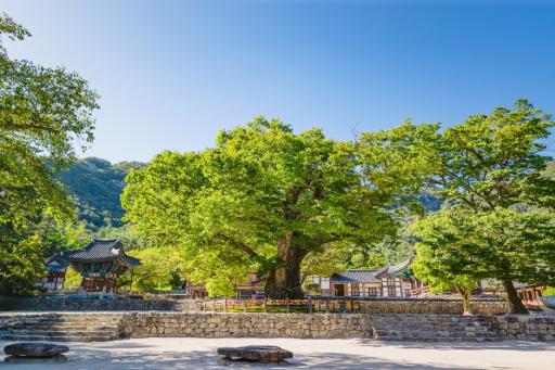 35. 내소사