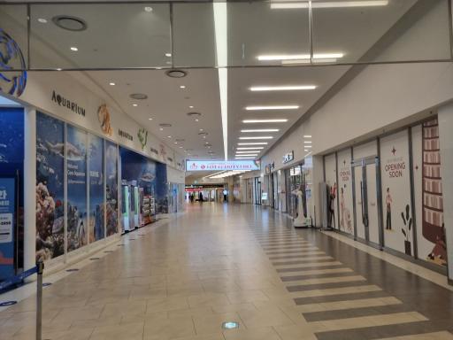 2. 코엑스아쿠아리움