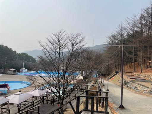 베어스타운리조트 코코몽수영장 휴업