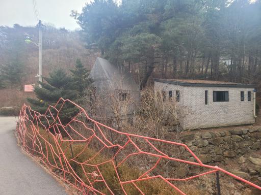21. 서후리숲