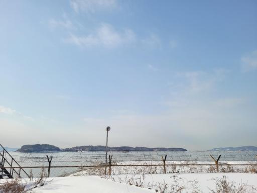 229. 세어도