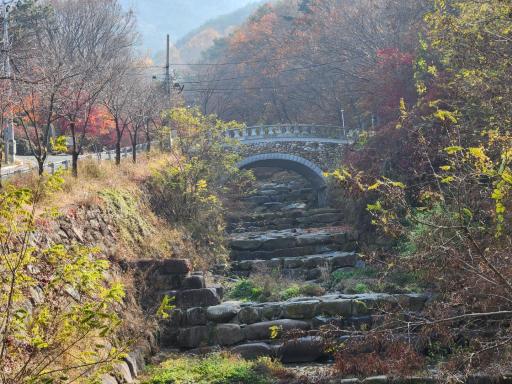 비슬산계곡