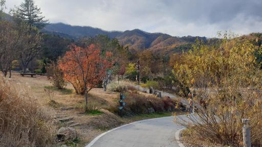 7. 물맑음수목원