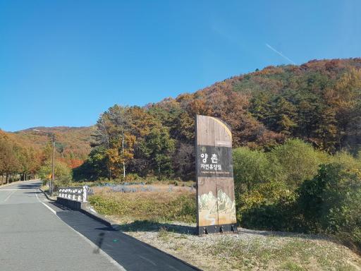 94. 양촌자연휴양림