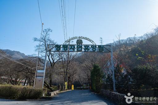 92. 청평자연휴양림