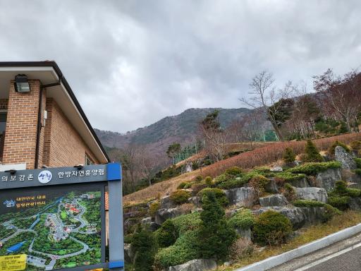 167. 한방자연휴양림