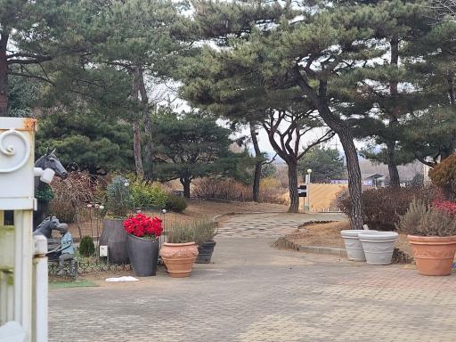 66. 양평들꽃수목원 휴업